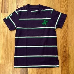 Polo boy purple stripe T-shirt (size 5)